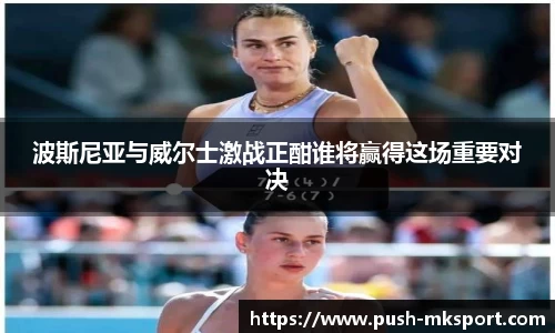 波斯尼亚与威尔士激战正酣谁将赢得这场重要对决